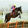 Tgoadby