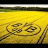 lewibvb09