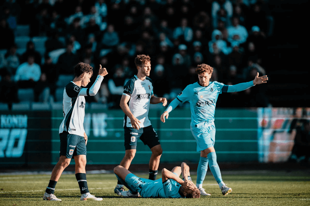 Aarhus. Source: Official Website