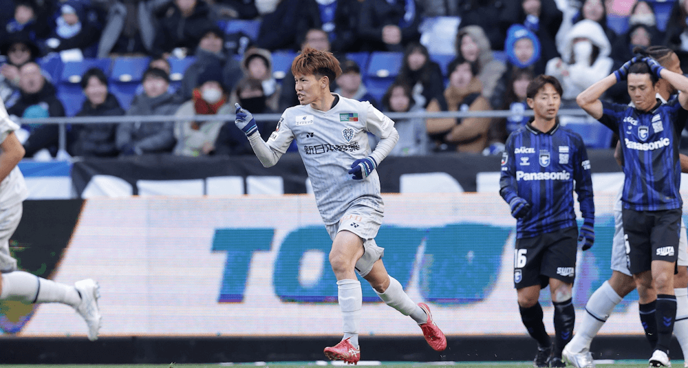 Avispa Fukuoka. Source: Official Website