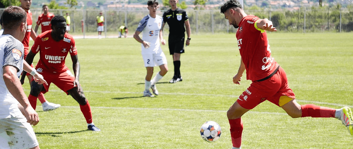 FC Hermannstadt. Source: Official Website