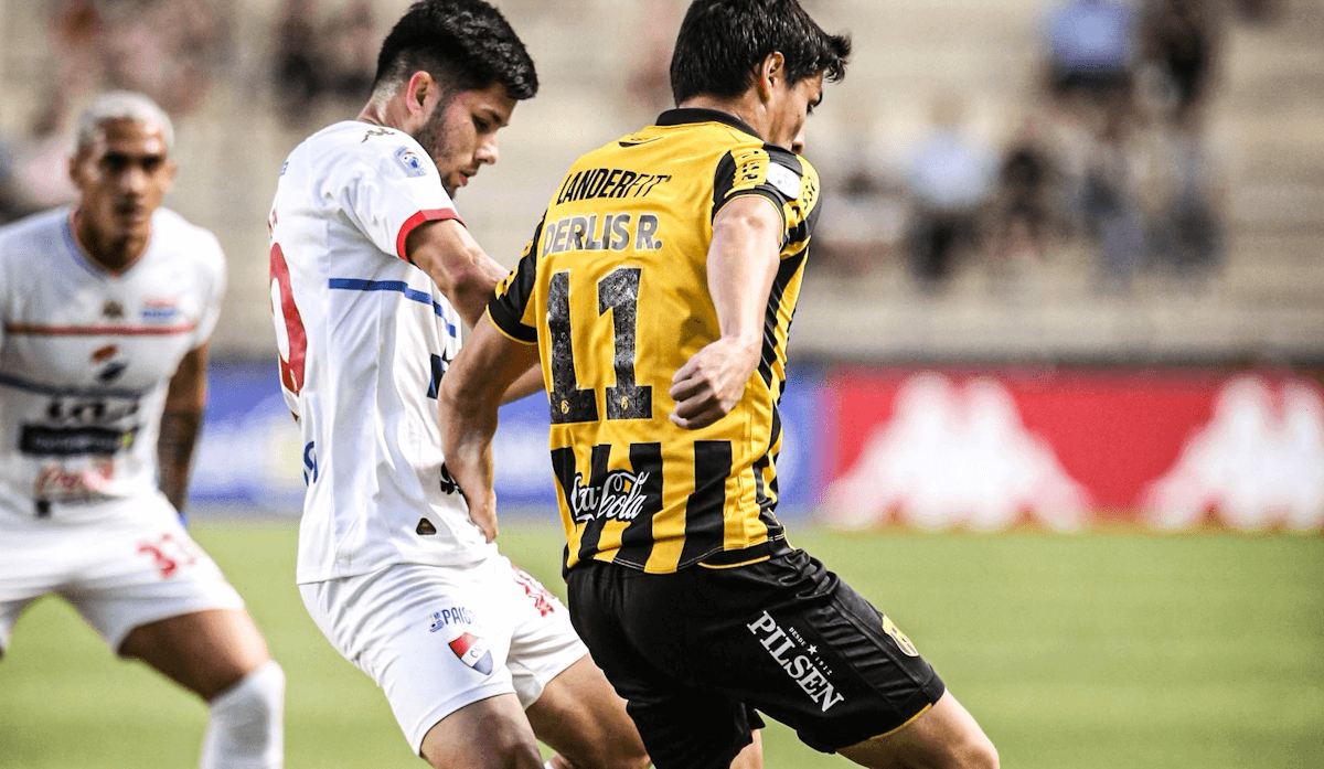 Guarani. Source: Official Website
