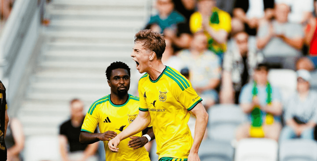 Ilves. Source: Official Website