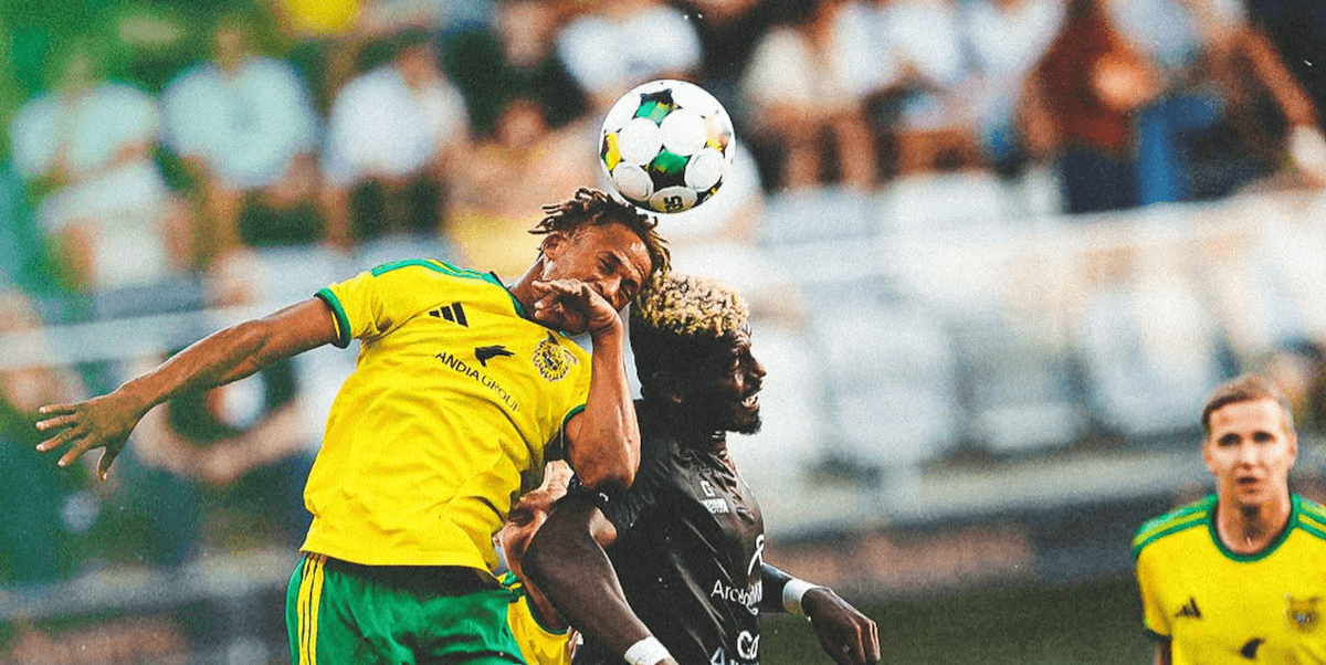 Ilves. Source: Official Website