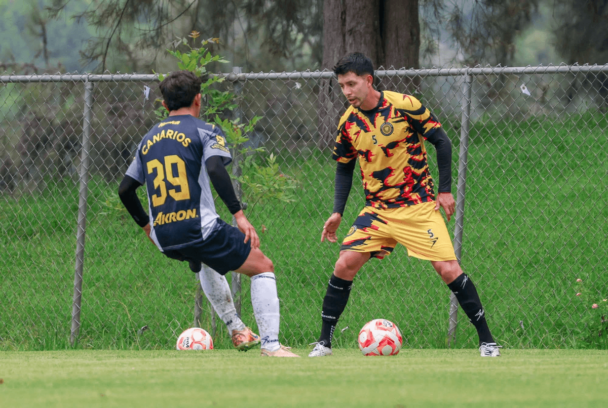 Leones Negros