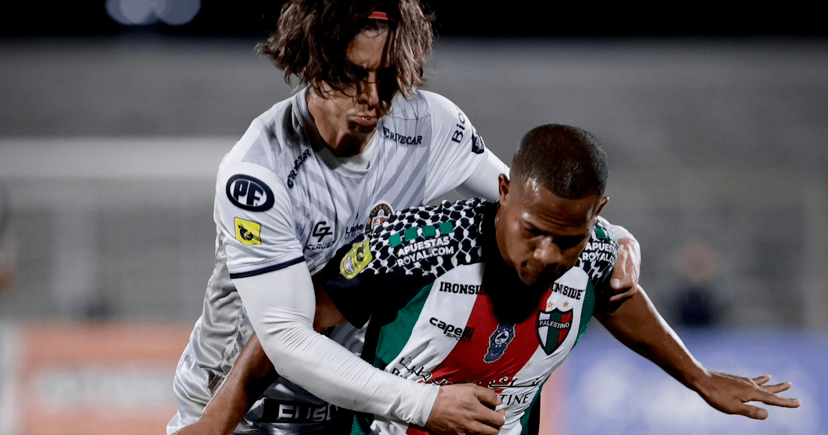 Palestino. Source: Official Website