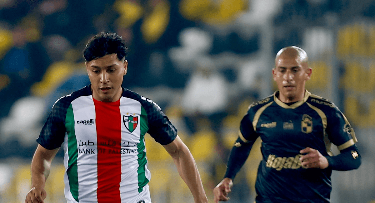 Palestino. Source: Official Website