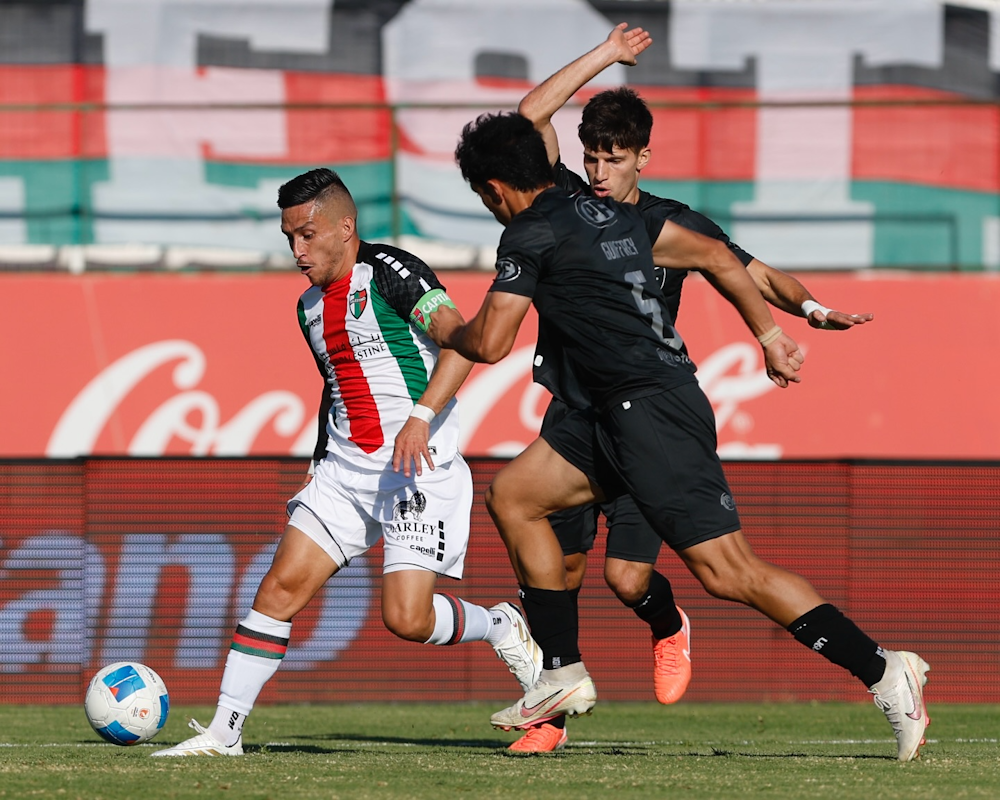 Palestino. Source: Official Website