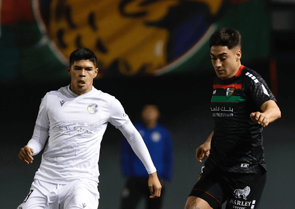 Palestino. Source: Official Website