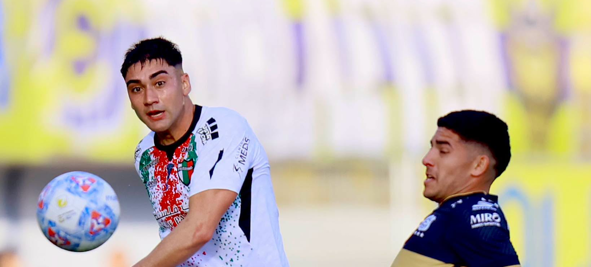 Palestino. Source: Official Facebook