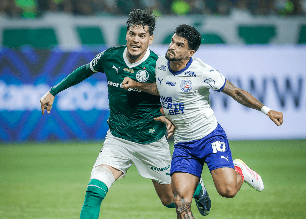 Palmeiras. Source: Official Website