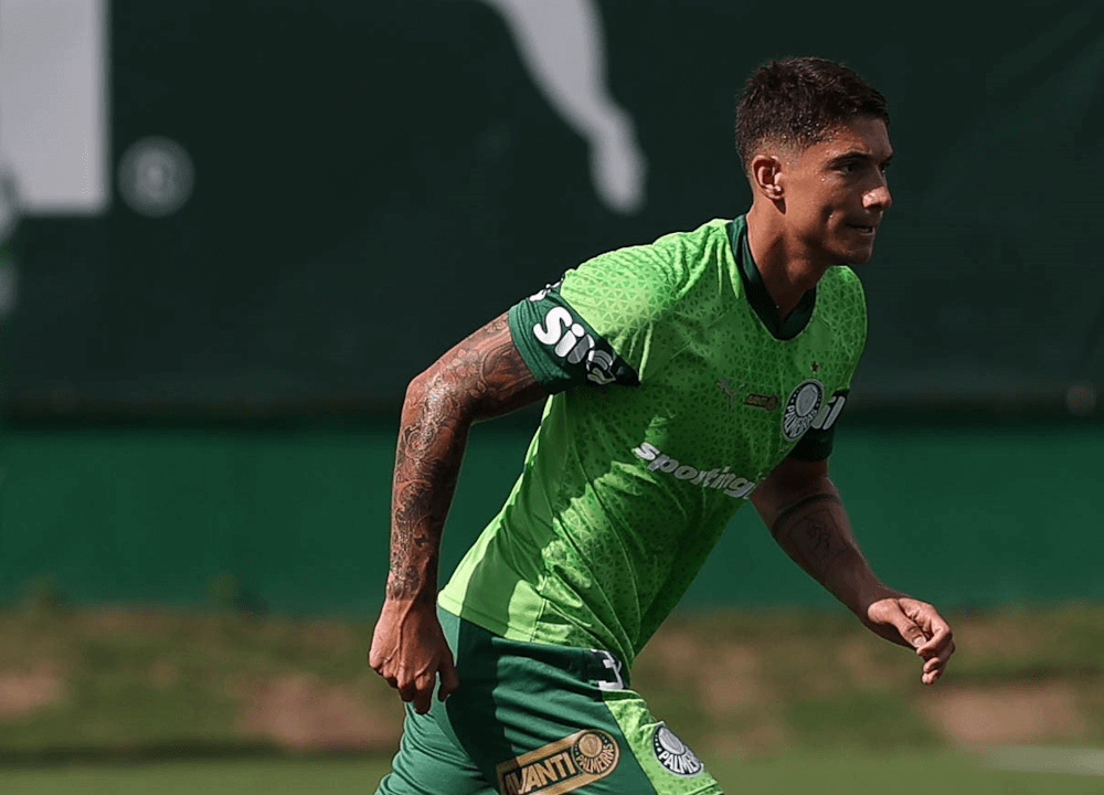 Palmeiras. Source: Official Facebook. Edited photo.