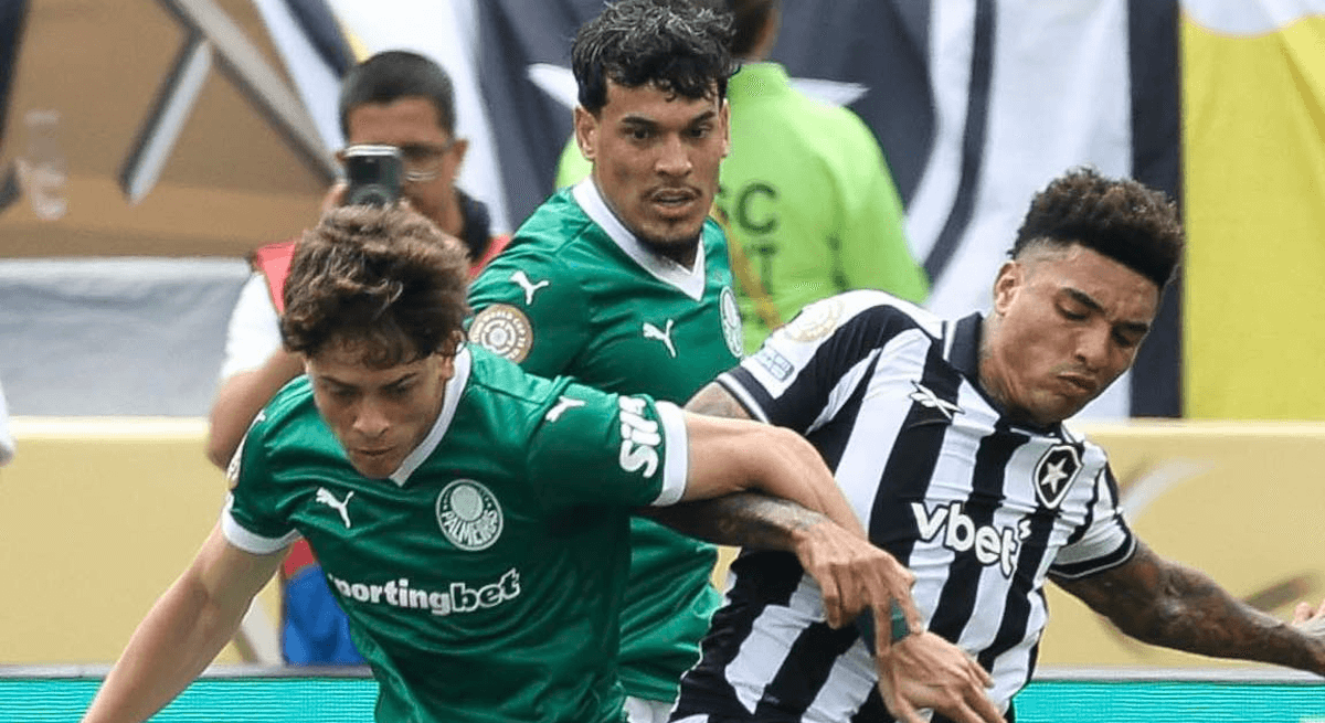 Palmeiras. Source: Official Facebook. Edited photo