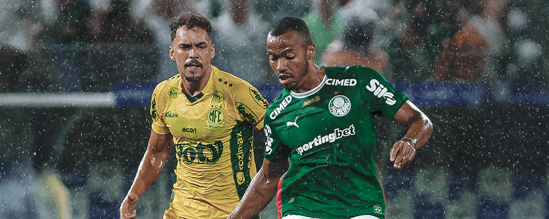 Palmeiras. Source: Official Facebook. Edited photo