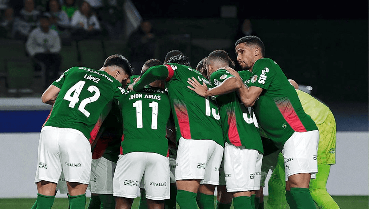 Palmeiras. Source: Official Website