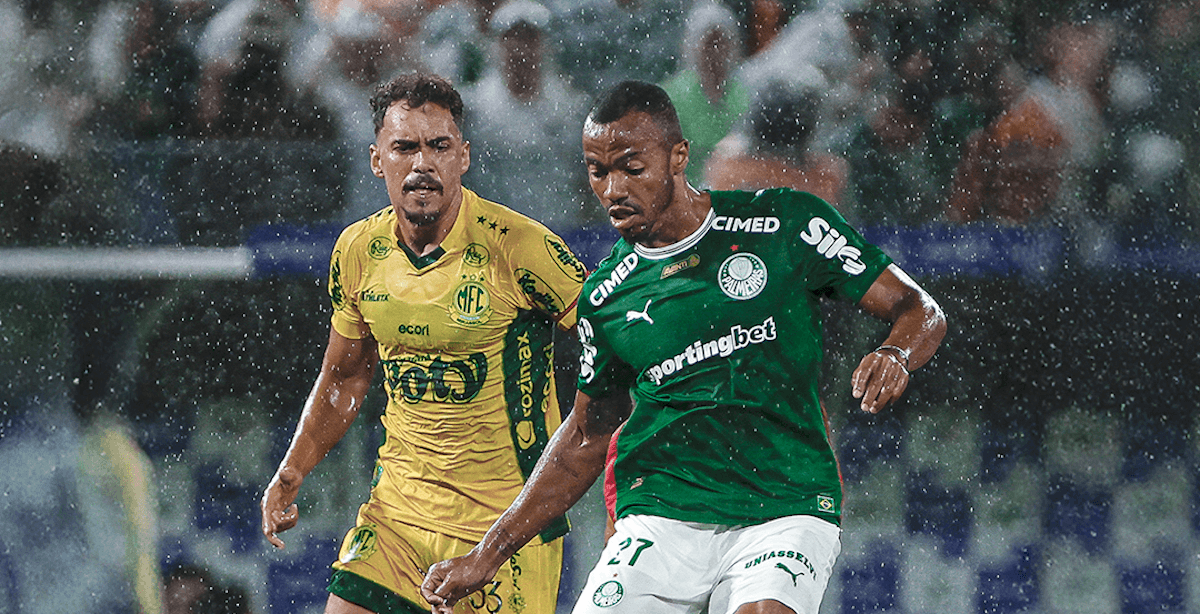 Palmeiras. Source: Official Website