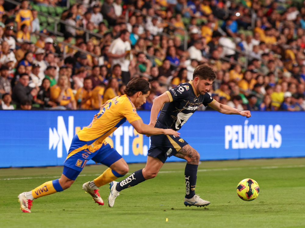 Pumas. Source: Official Website