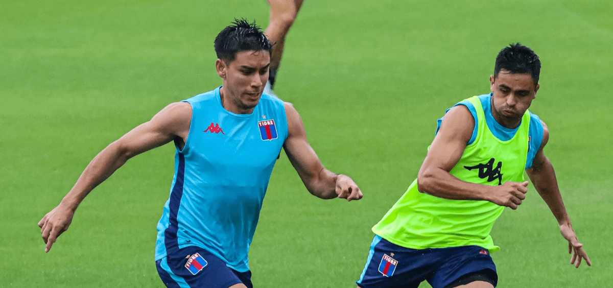 Tigre