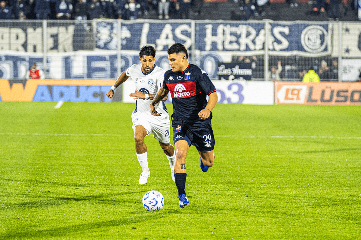 Tigre
