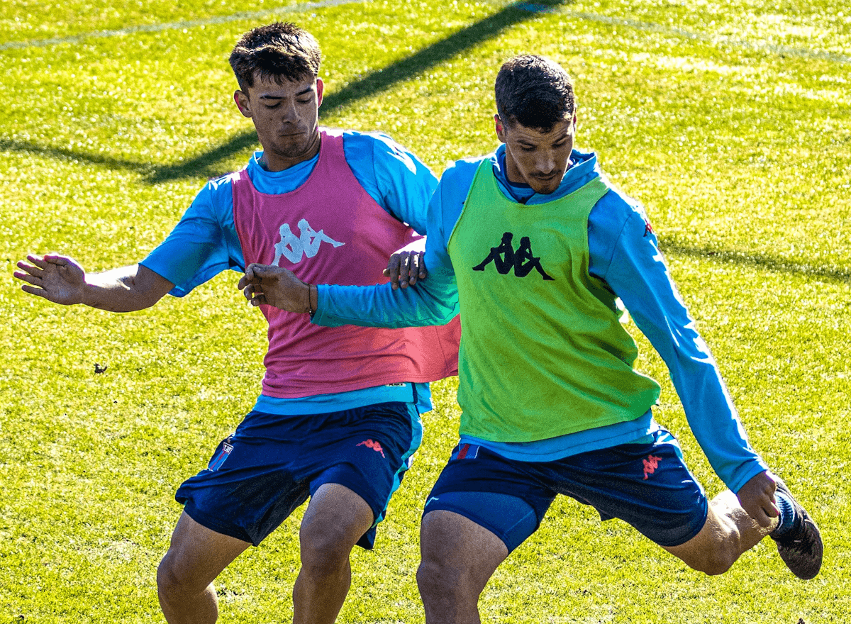 Tigre. Source: Official Website