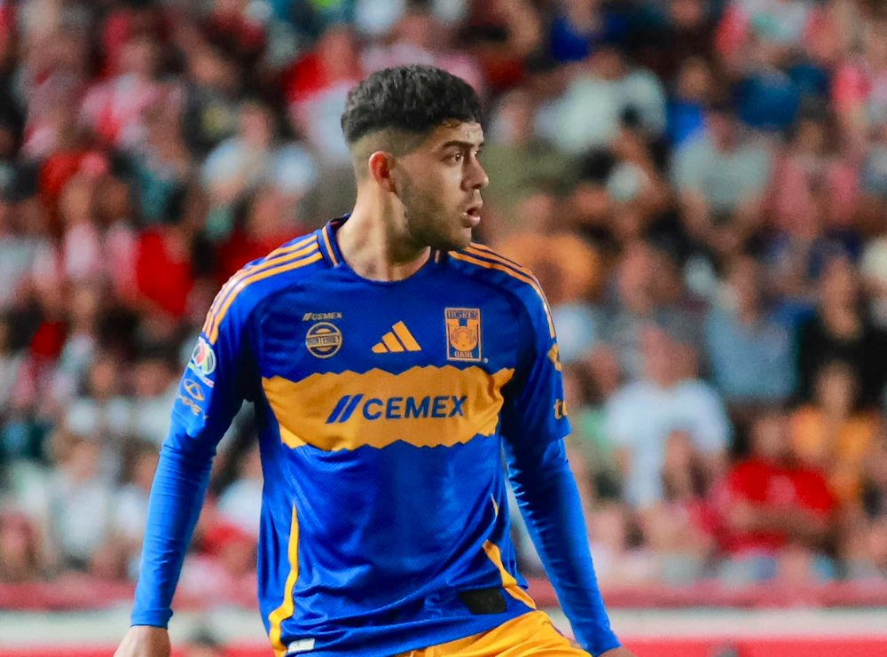 Tigres. Source: Official Website