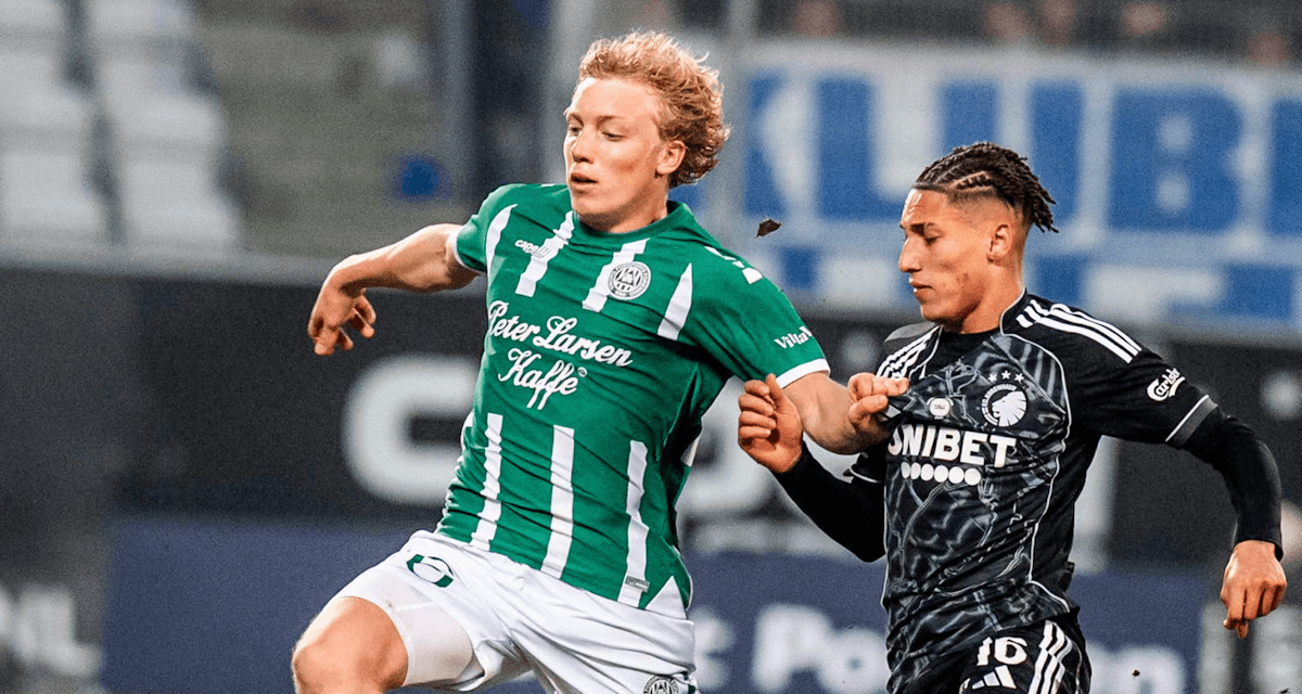 Viborg. Source: Official Website