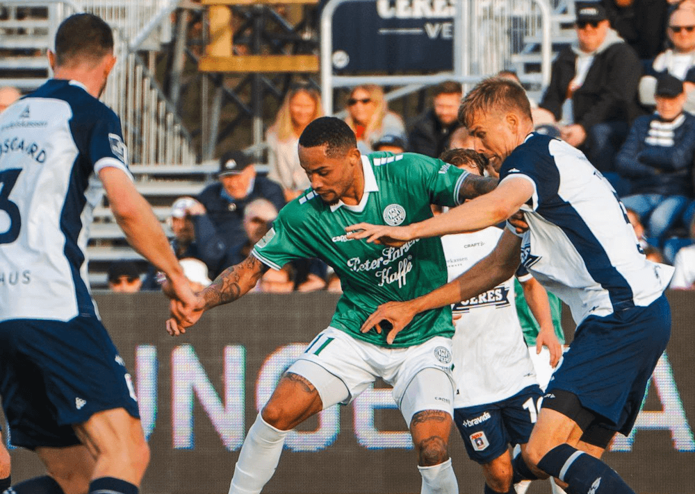 Viborg. Source: Official Website