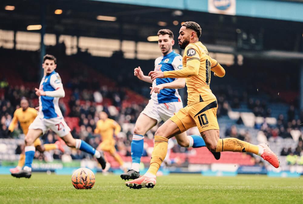 Wolves. Source: Official Website