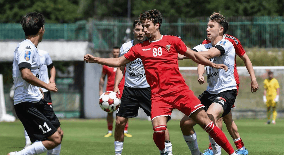 Zaglebie Sosnowiec. Source: Official Website