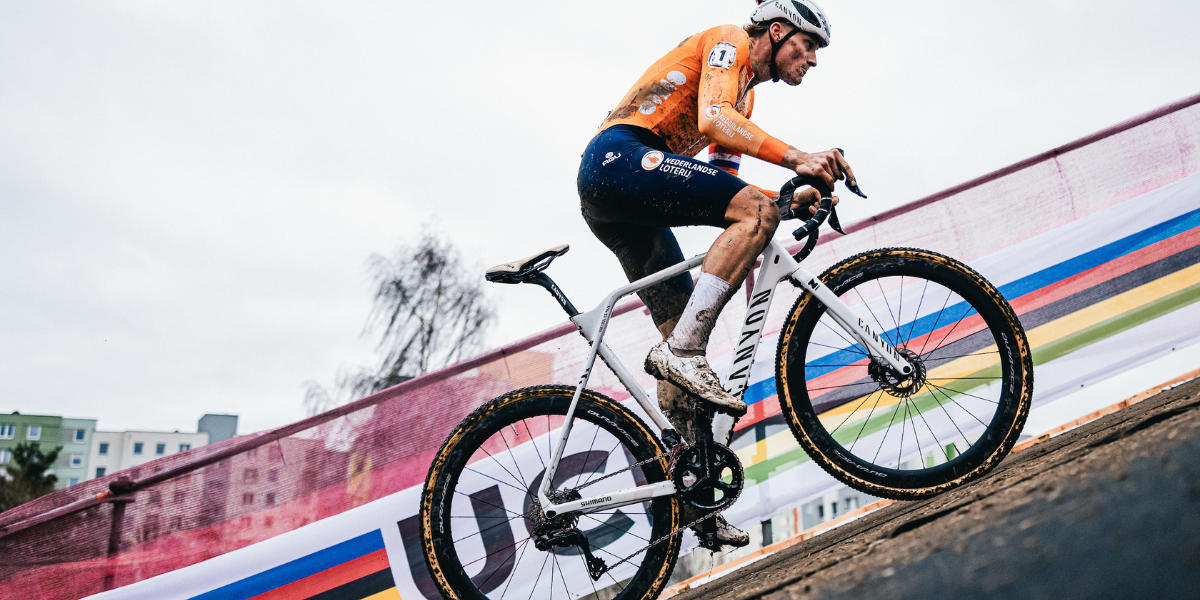 van der Poel