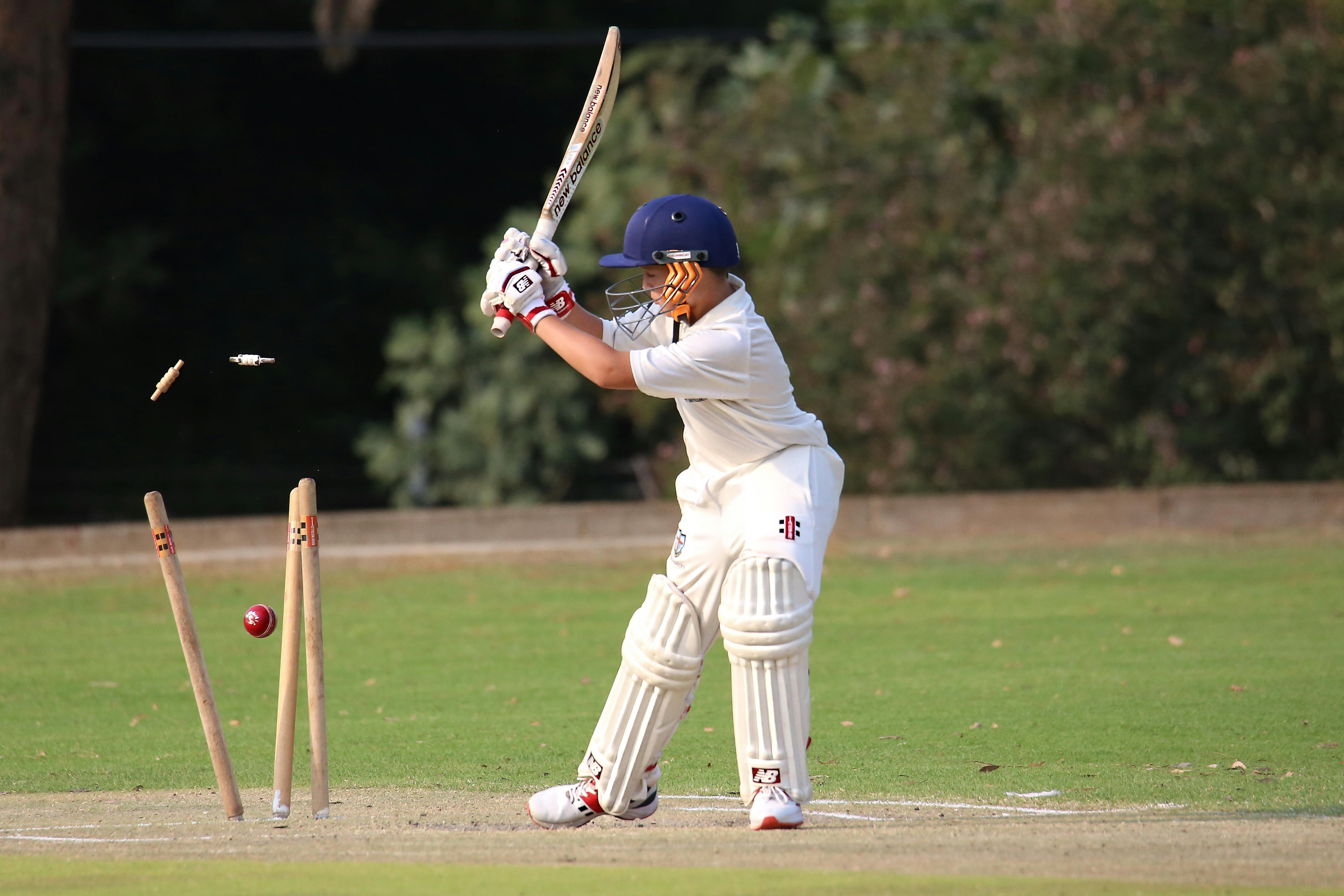 Cricket