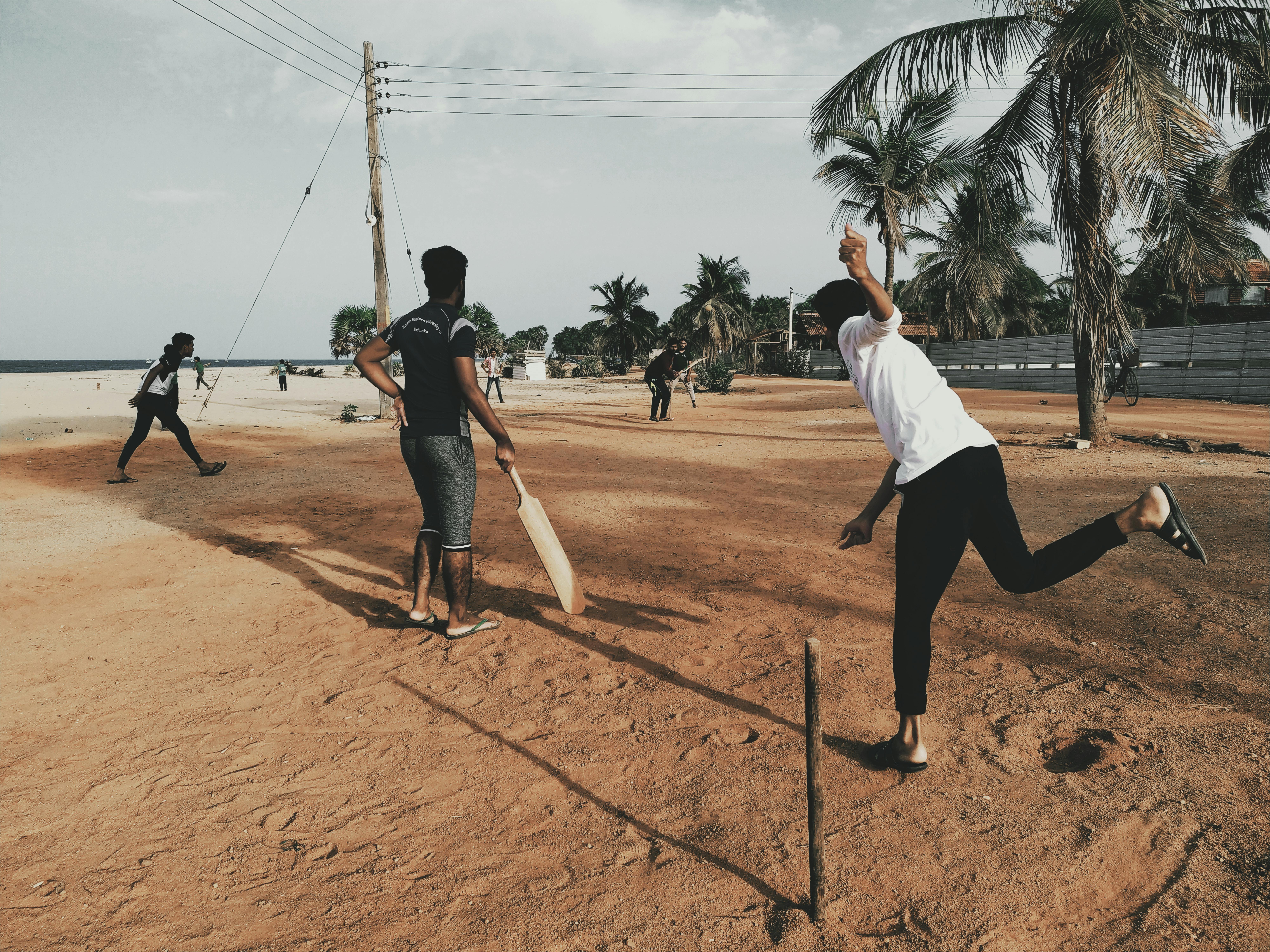 Cricket