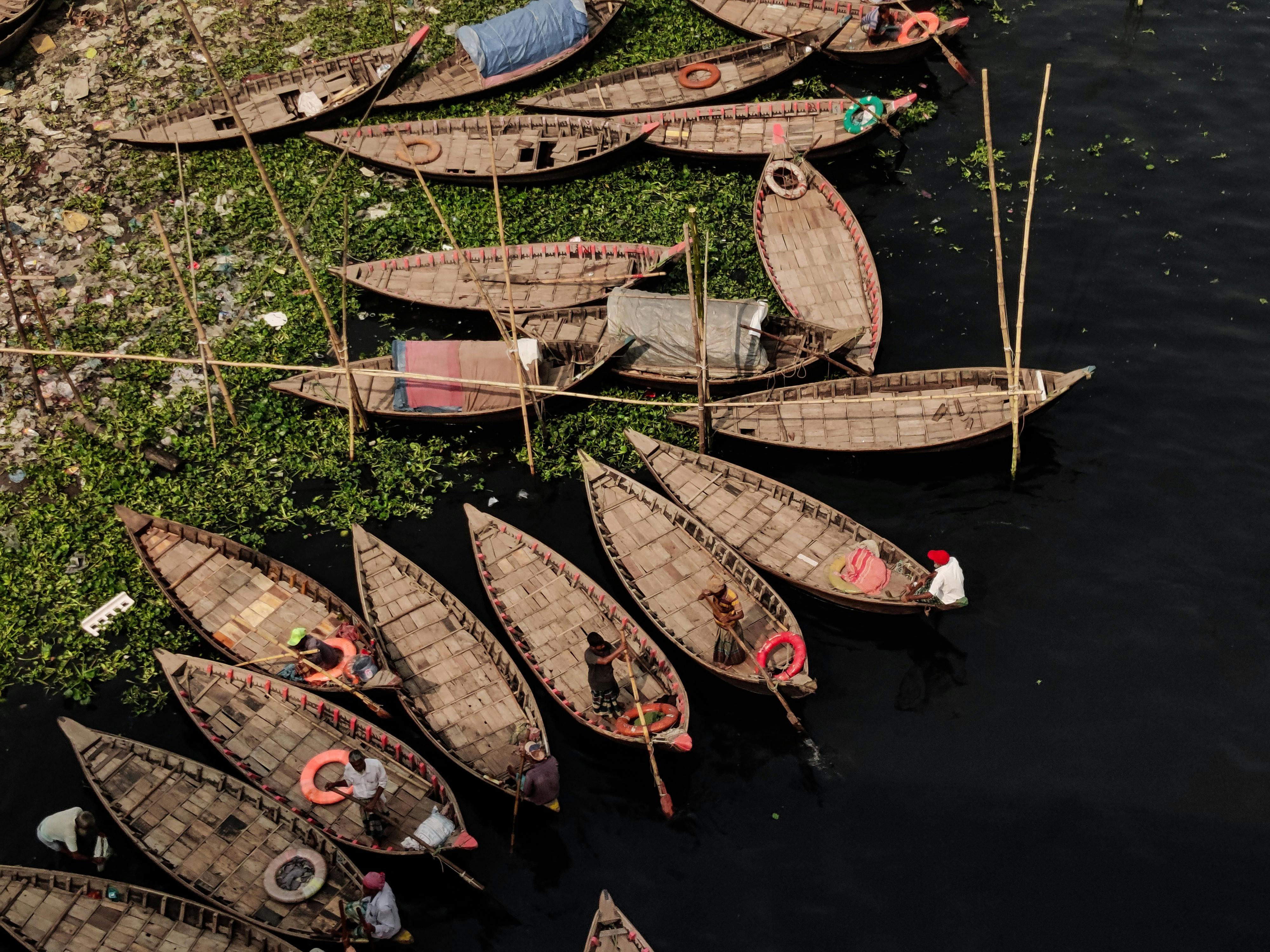 Bangladeshi