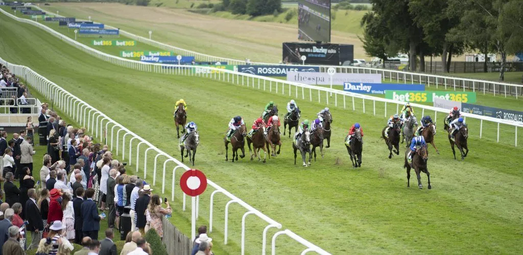 Horse Racing