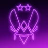 Team Vitality