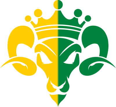 1620 Kings CS2 (CS:GO) Team