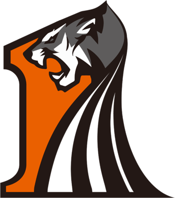 17 Gaming Valorant Team