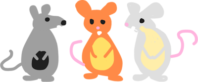 Команда 3RATS. Состав Rocket League