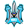 9z CS2 (CS:GO)队