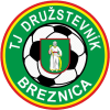 Breznica – Football Team