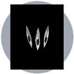Ovoshi – CS2 (CS:GO)
