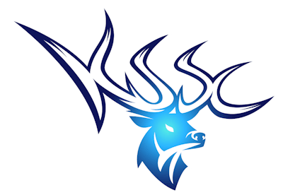 Super Club – Arena of Valor Team