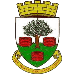 Команда Wells City. Состав Football