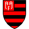 AA Flamengo SP U20 – Football Team