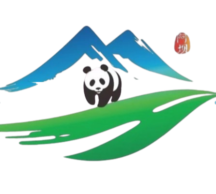Aba Prefecture Team Football Team