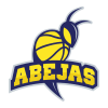 Equipo Abejas. Composición De Basketball
