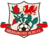Aberbargoed – Football Team
