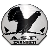 Hold Olimpic Zarnesti. Opstilling Football