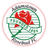 Adamstown Rosebud Reserves – Football Team