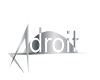 Команда Адройт. Состав Basketball